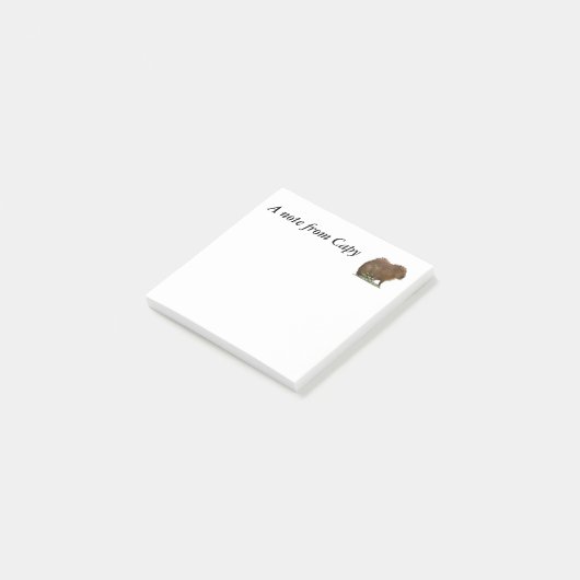 Capybara Post-it® Notes (Schuin)