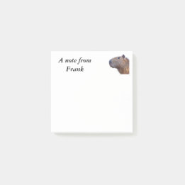Capybara Post-it® Notes