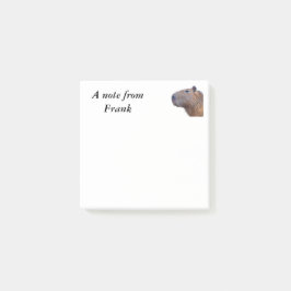 Capybara Post-it® Notes