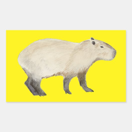 Capybara Rechthoekige Sticker (Voorkant)