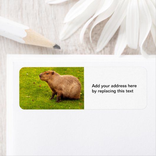 Capybara retour adreslabels etiket (Insitu)