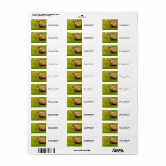 Capybara retour adreslabels etiket (Full Sheet)