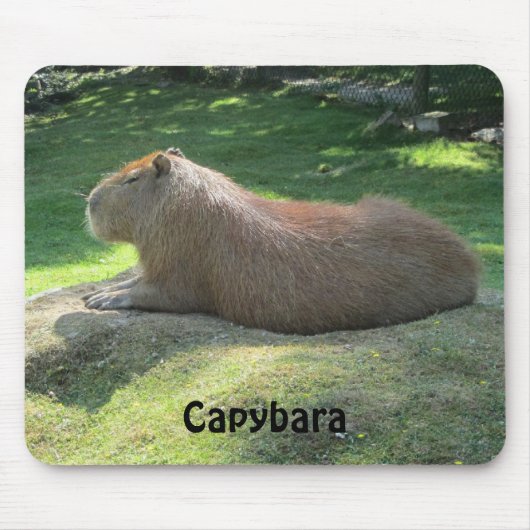 Capybara - Reusachtige Knaagdier Muismat (Voorkant)