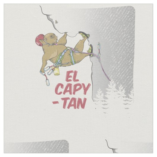 Capybara rock klimmen EP CAPITAIN Stof (Close Up)