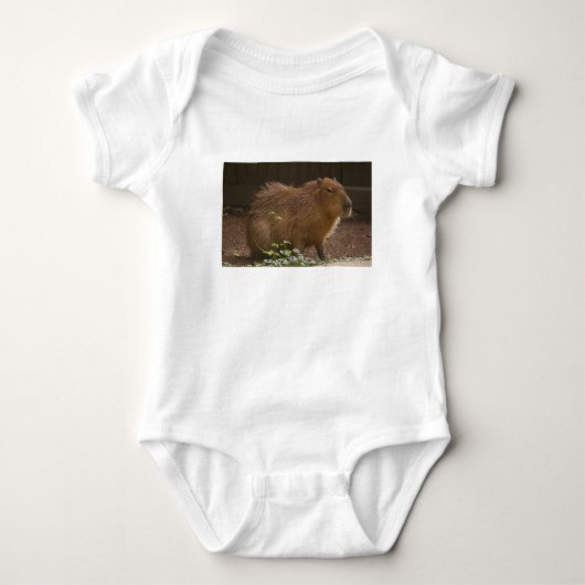 Capybara Romper (Voorkant)
