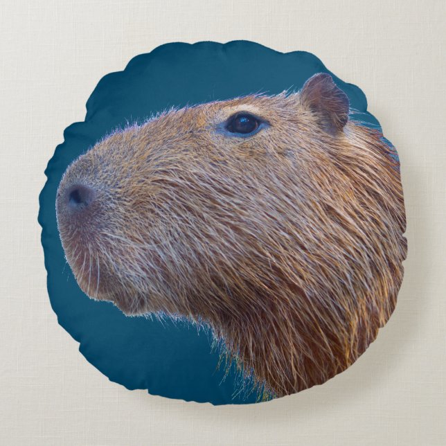 Capybara Rond Kussen (Voorkant)