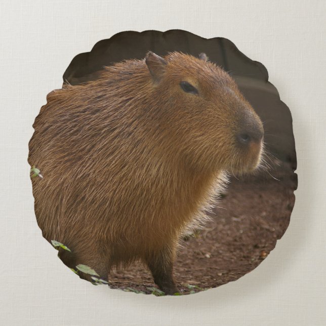 Capybara Rond Kussen (Voorkant)