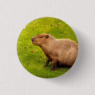 Capybara Ronde Button 3,2 Cm