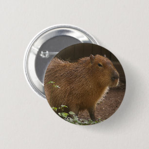 Capybara Ronde Button 5,7 Cm