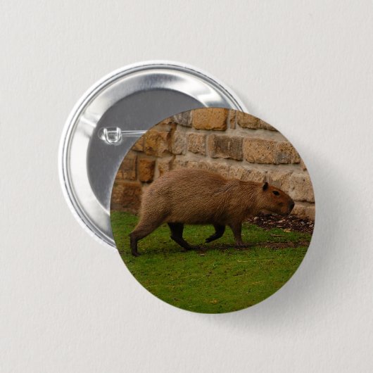 capybara ronde button 5,7 cm (Voorkant /achterkant)
