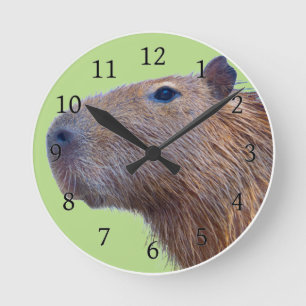 Capybara Ronde Klok