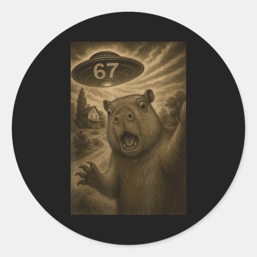 Capybara Selfie 67 Meme Zes Zeven Grappige Ufo  Ronde Sticker (Voorkant)