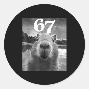 Capybara Selfie Met 67 Meme Capy Grafisch Voor Man Ronde Sticker