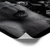 Capybara Selfie With Santa Funny Capybara For Men  Poster (Hoek)
