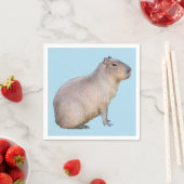 Capybara Servet (Insitu)