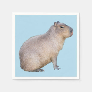 Capybara Servet