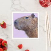 Capybara Servet (Insitu)