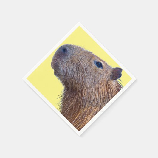 Capybara Servet (Hoek)