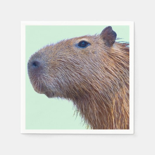 Capybara Servet (Voorkant)