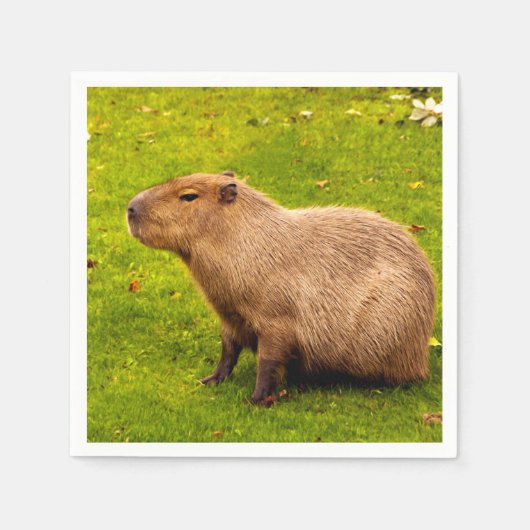 Capybara Servet (Voorkant)