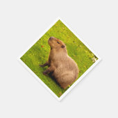 Capybara Servet (Hoek)