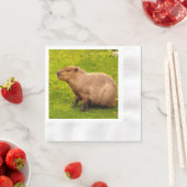 Capybara Servet (Insitu)