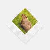 Capybara Servet (Hoek)