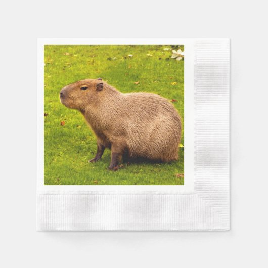 Capybara Servet (Voorkant)
