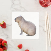 Capybara Servet (Insitu)