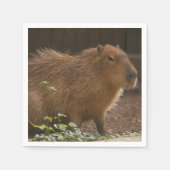 Capybara Servet (Voorkant)