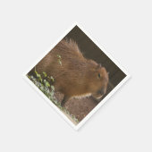 Capybara Servet (Hoek)