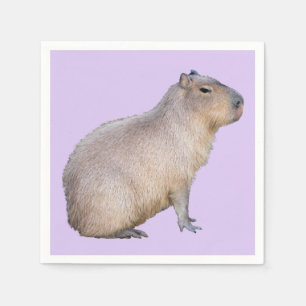 Capybara Servet