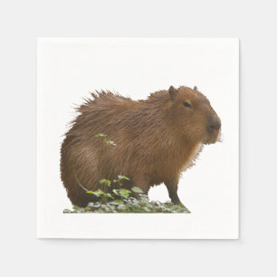 Capybara Servet