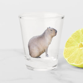 Capybara Shot Glas