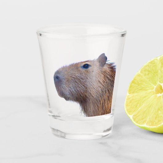 Capybara Shot Glas (Voorkant)