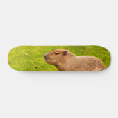 Capybara Skateboard (Horizontaal)
