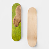 Capybara Skateboard (Voorkant)