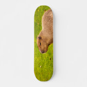 Capybara Skateboard (Voorkant)
