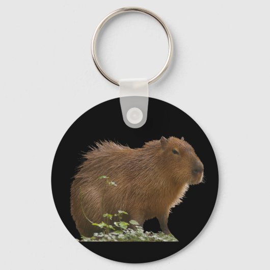 Capybara Sleutelhanger (Voorkant)