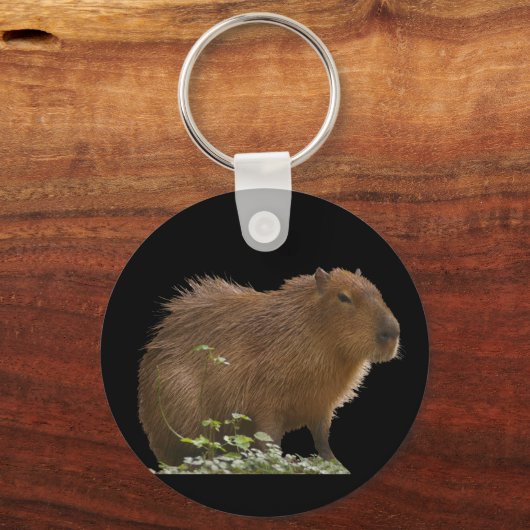 Capybara Sleutelhanger (Voorkant)