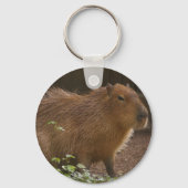 Capybara Sleutelhanger (Voorkant)