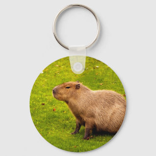 Capybara Sleutelhanger