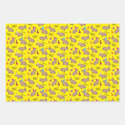 Capybara Specialized Birthday Hand-Illustrated Inpakpapier Vel (Voorkant 3)