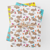 Capybara Specialized Birthday Hand-Illustrated Inpakpapier Vel (In situ)
