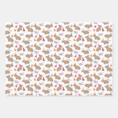 Capybara Specialized Birthday Hand-Illustrated Inpakpapier Vel (Voorkant)