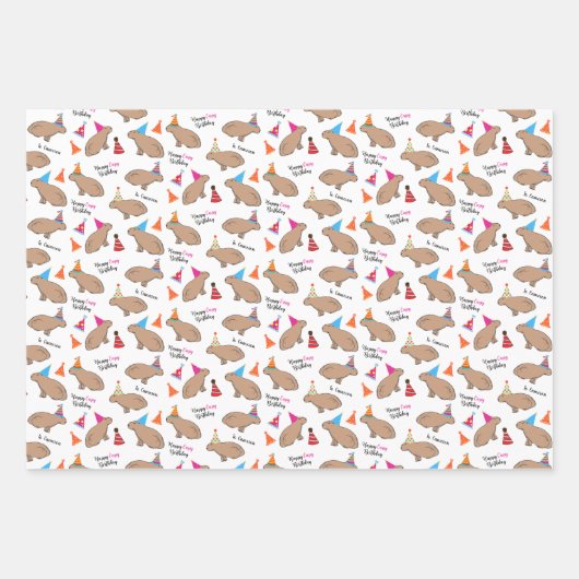 Capybara Specialized Birthday Hand-Illustrated Inpakpapier Vel (Voorkant)