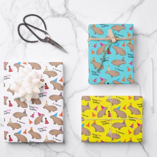 Capybara Specialized Birthday Hand-Illustrated Inpakpapier Vel (Voorkant)