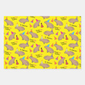 Capybara Specialized Hand-Illustrated Birthday Inpakpapier Vel (Voorkant 3)