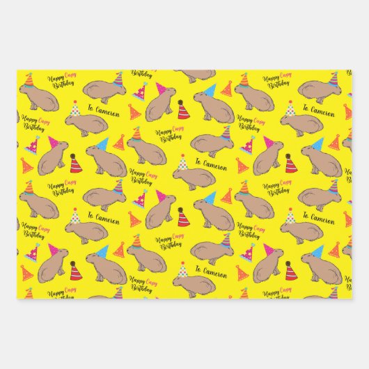 Capybara Specialized Hand-Illustrated Birthday Inpakpapier Vel (Voorkant 3)