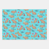 Capybara Specialized Hand-Illustrated Birthday Inpakpapier Vel (Voorkant 2)